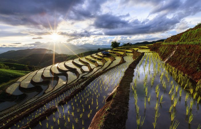 rice terraces 2000x1333